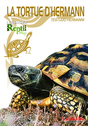 couverture de : La tortue d'hermann