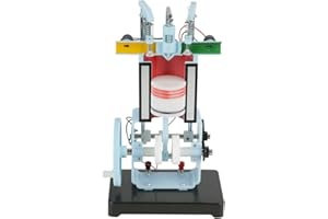 Akozon Modèle de Moteur Moteur Modèle Physique à 4 Temps pour Mécanique Instrument D'Enseignement Expérimental
