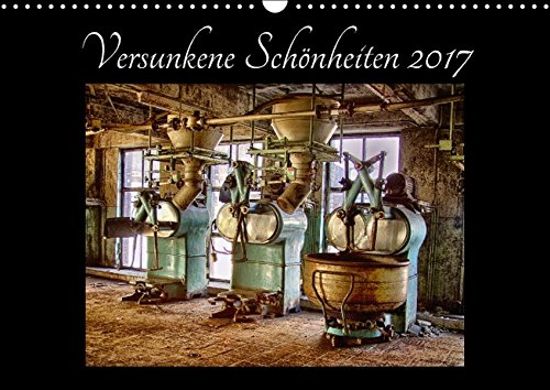 Versunkene Schönheiten 2017 (Wandkalender 2017 DIN A3 quer): Detail-Motive aus brachliegenden Fabriken in NRW (Monatskalender, 14 Seiten) (CALVENDO Orte)