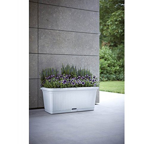 XL Pflanzkasten mit Bewässerungssystem und Rollen für einfaches Umstellen, Maße L 80 x B 40 x H 34 cm, Farbe Anthrazit - 2