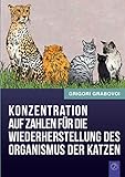 Konzentration auf Zahlen für die Wiederherstellung des Organismus der Katzen by Grigori Grabovoi