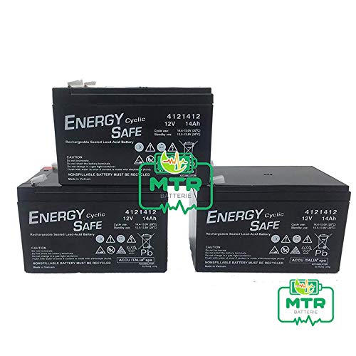 ENERGY SAFE Batería Plomo 12 V 14 Ah cíclica para Bicicletas eléctricas y Patinete X3.