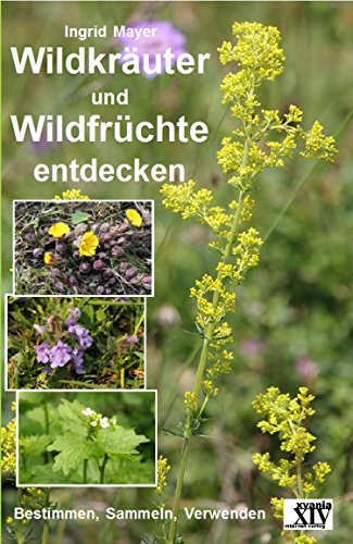 Wildkräuter und Wildfrüchte entdecken: Bestimmen, Sammeln, Verwenden