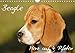 Beagle - Herz auf 4 Pfoten (Wandkalender 2018 DIN A4 quer): Liebenswerte Schlappohren auf 13 wunderschönen Fotos (Monatskalender, 14 Seiten ) (CALVENDO Tiere) [Kalender] [Apr 27, 2017] Starick, Sigrid by 
