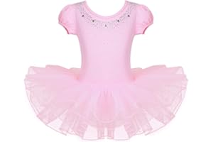 IEFIEL Vestido de Danza Clásica para Niña Maillot Manga Corta con Falda Tutú Leotardo de Ballet Vestido de Gimnasia Rítmica Disfraz de Bailarina Ballet 2-10 Años