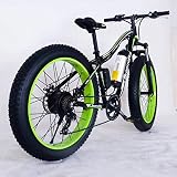 Motor sin escobillas de 250 W y 36 V: potencia Hign. La velocidad más alta puede alcanzar hasta 30 km / h. La pendiente puede alcanzar los 30 ° en condiciones de carretera comunes