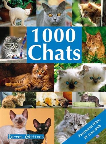 couverture de : 1000 Chats