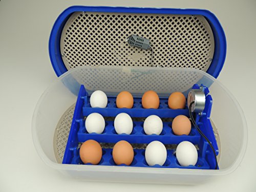 S12 Motorbrüter autom. Wendung Brutapparat, Inkubator, für bis zu 48 Eier Inkubator - 6