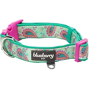 Blueberry Pet 7 Patterns Soft & Comfy Paisley Flower Print Neoprene Padded Dog Collar, Emerald Green, Small, Neck 12