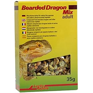 Lucky Reptile Bearded Dragon Mix Adult 35 g, 1er Pack (1 x 35 g)