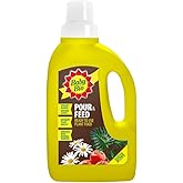 Baby Bio Pour & Feed Liquid Plant Food, 1L - Ready To Use Houseplant Food - with Seaweed Extract - to Stimulate Healthy Growt
