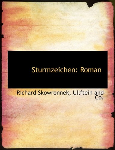 Sturmzeichen: Roman