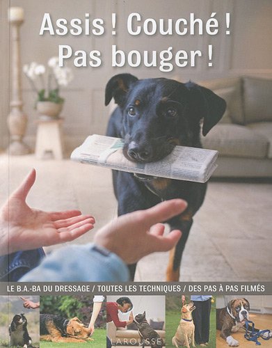 couverture de : Assis ! Couch&eacute; ! Pas bouger !