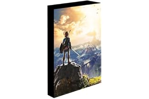 Pyramid International The Legend of Zelda Light Up Canvas (Into the Wilds Design) Stor duk 30 cm x 40 cm - Officiella varor