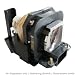 Produktbild NEC NP26LP - CODALUX Ersatzlampe mit Gehäuse - NEC NP-PA622U, PA521U, PA522U, PA571W, PA572W, PA621U, PA621X, PA622U, PA622X, PA671W, PA672W, PA721X, PA722X