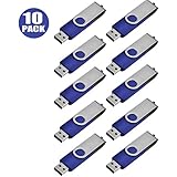 TEWENE 10 Stück 1GB USB Stick 2.0 Speicherstick High Speed Metall (Blau)