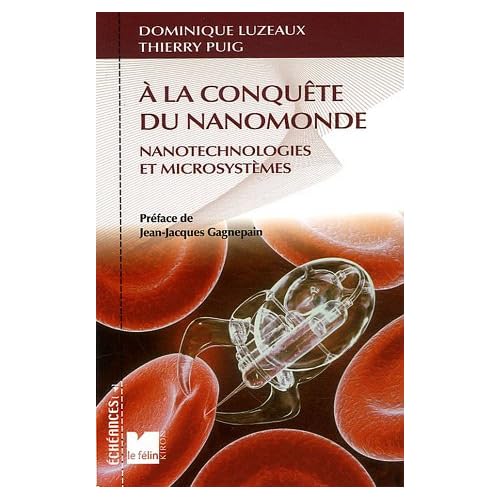 A la conquête du nanomonde : Nanotechnologies et microsystèmes