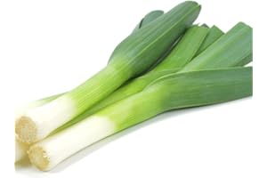 ACQUA TOWER GROWING SYSTEMS Leek Plants, 'Tornado', 6 x Plug Plant Pack, Winter Vegetable Plants, Leeks, Garden Ready and Ready to Plant, Premium Quality Vegetables