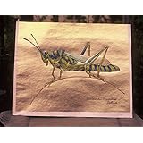 Indian Grashopper, Original Gemälde, Brigitte Smith, 40 x 33 cm