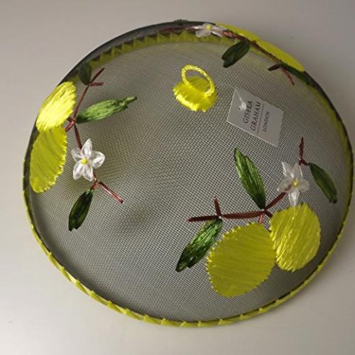 Entzückende Abdeckhaube „Zitronen“ – Mesh mit Stickerei aus Bast – Durchmesser 30 cm - 2