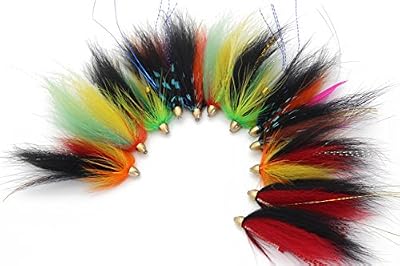 Tigofly 12 pcs Cône Tête Tube Fly pour Saumon truite Steelhead Ensemble de pêche à la mouche mouches Leurres