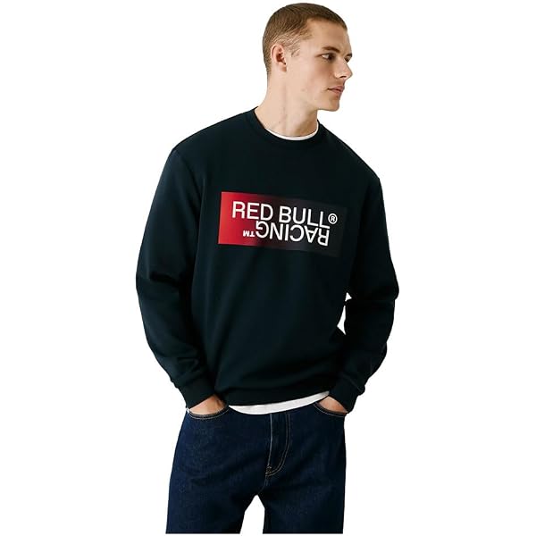 Herren Kapuzenpullover RBR Intarsia Logo – Aus Baumwolljersey, Mit Red Bull Racing Design