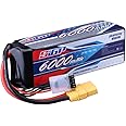 SIGP 4S Batterie Lipo 14,8 V 6000mAh 70C avec XT90 pour véhicules r