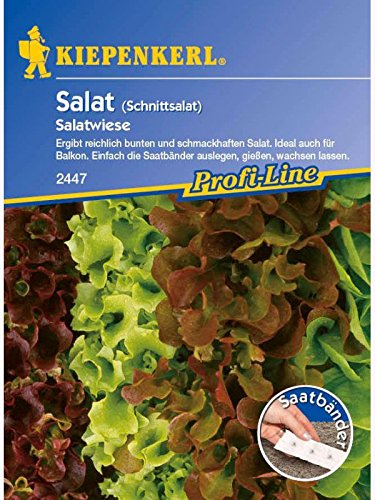 Salat Schnittsalat Babyleaf-Salatwiese Saatband 10mtr