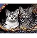 Produktbild OKOUNOKO Puzzles Rätsel Für Erwachsene 1000 Teile 3D Katze Handgemalte Stil Tierbilder Für Wohnkultur Zusammenbauen Hölzern Personalisiert Rätseln Rätselspaß Spiel
