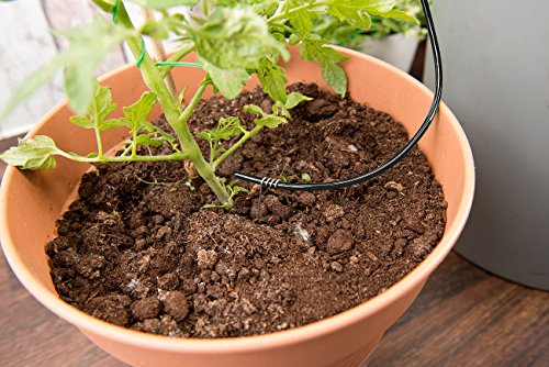 Royal Gardineer Automatische Urlaubs-Bewässerungsanlage für 10 Zimmerpflanzen - 4