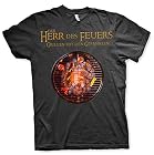 Herr des Feuers Grillen mit den Gefährten BBQ Tshirt L###Schwarz – Bild 1