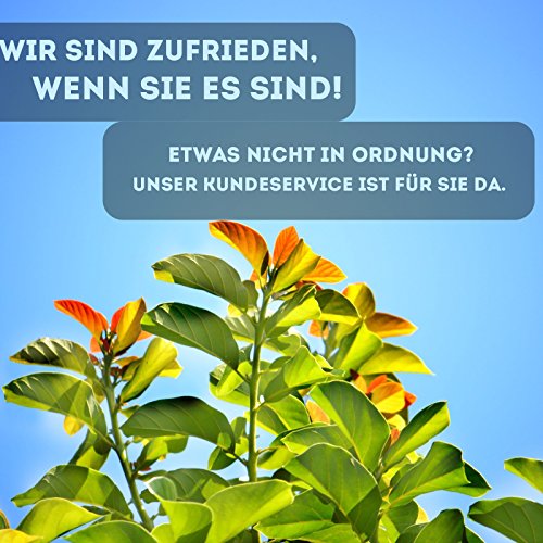 100x Federstahl Verzinkt Gewächshausklammern – Glasklemmen Klammern für Gewächshaus & Glashaus – Perfekte Gewächshaus Zubehör Clips - 4