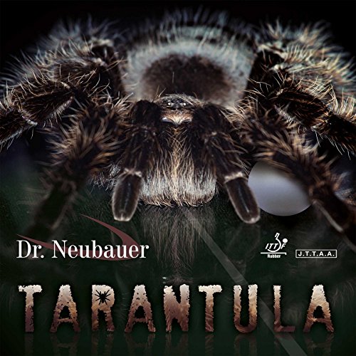 DR. NEUBAUER Couvrant Tarantula (Anti)