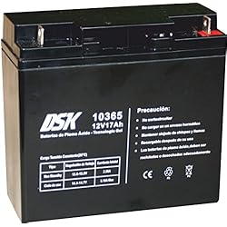 DSK 10365 - Batería Plomo tecnología Gel 12V 17 Ah, Negro