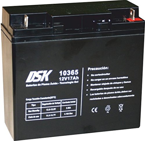 DSK 10365 - Batería Plomo tecnología Gel 12V 17 Ah, Negro