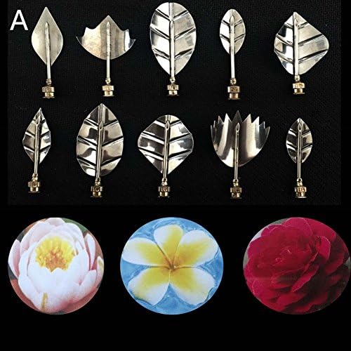 3D Gelatin Art Tools，Jelly Cake Flower Tools,Jelly Cake Needles- Set of 10 PCS by Goannra with Stainless Steel Pudding Pastry Nozzles for beginners to advanced learners. (A)