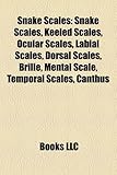 Image de Snake Scales