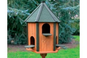 Ferme de Beaumont Pigeonnier Ramier - pigeonnier Tour 3 Couples de Pigeons