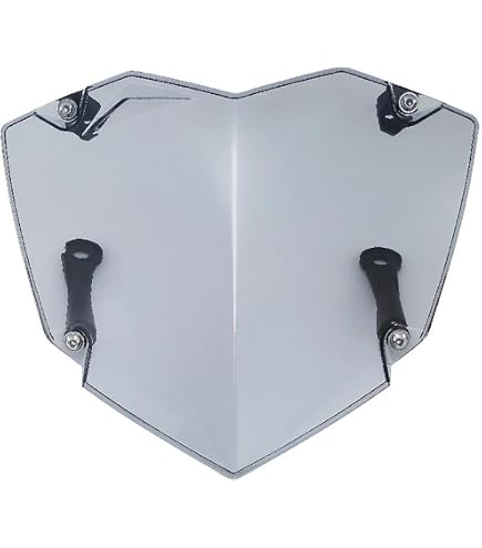 Griglia Protettiva Per Faro Moto BMW R1250GS ADV 2021, In Acciaio Inox E Acrilico, Colore Blu