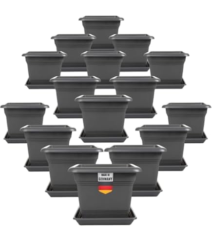 Set