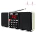 Produktbild LEFON Dab FM AM Radio Dual Bluetooth Lautsprecher MP3-Musik-Player Unterstützungs-TF-Karte USB-Scheibe 3.5mm AUX Linie-in LED-Schirm-Anzeige (Golden)