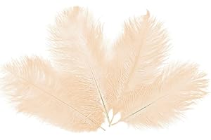 LITTLE SNOW DIRECT 10PCS Ostrich Feathers Plumes Fluffy 8-10 Inches Long - Cream