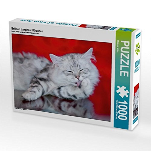 Preisvergleich Produktbild Britisch Langhaar Kätzchen 1000 Teile Puzzle quer (CALVENDO Tiere)