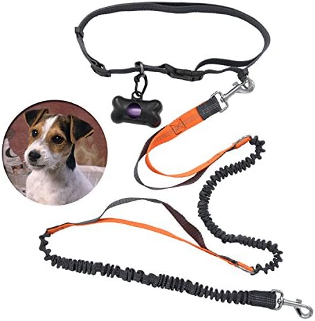 Yobee Multifunctional Dog Leash Kits, Dual Use Hands Free or Hand Held, Adjustable Walking/Running/Jogging/Bungee/Hiking/Training Leashes Suit for Most Dog Sizes, with poo bags