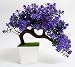 HYPERBOLE Wild Plant Artificial Plant with Pot(27cm) RS.359.00