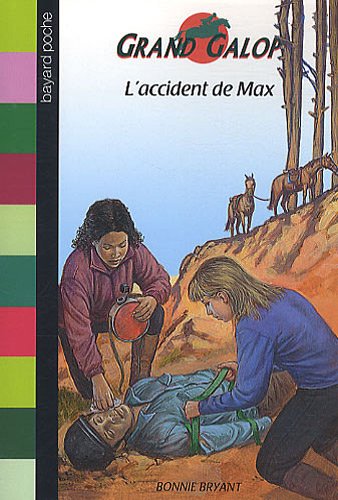 couverture de : L'accident de Max 
