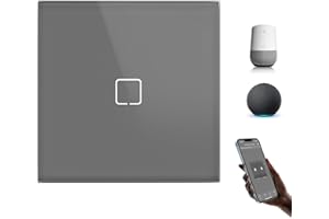 BSEEDLIFE Interruptor Inteligente WiFi Empotrado,Smart Interruptor Táctil Pared,1 Gang 1 Vía 86 * 86 mm,Compatible con Alexa y Google Home (Aplicación Tuya/Smart Life),Gris