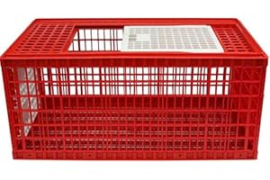 Hemel Transportkiste für Geflügel (B/TH: 96 x 56,5 x 44 cm)