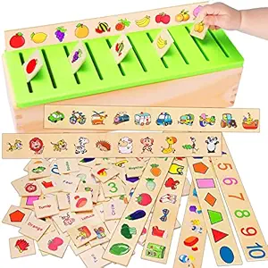 Toyshine Wooden Classification Sorting Box | Montessori Toys for Toddlers Learning Educational Activities Preschool Kindergarten Games Autism Toys Motor Skills STEM for Girls Boys Age 2 3 4 Year Old