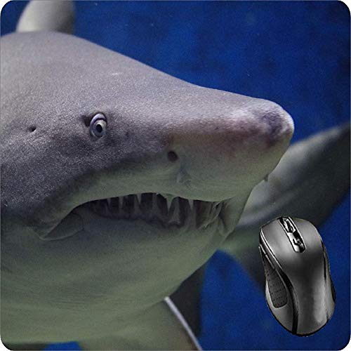 Preisvergleich Produktbild BGLKCS